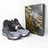 Lebron 17 Ashes Black White - Photo 2