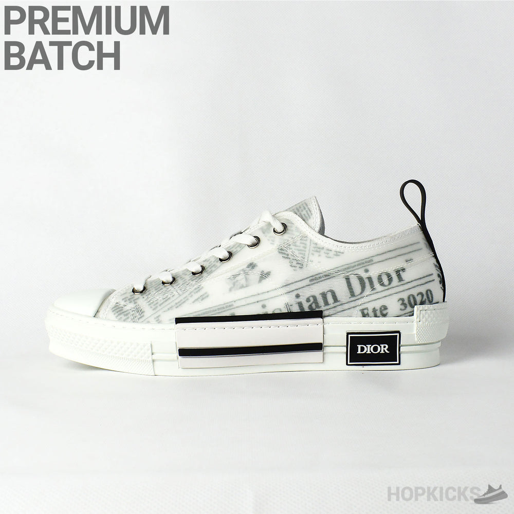 D*r x Daniel Arsham B23 Low Top
