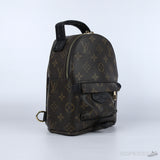 LV Palm Springs Mini Backpack - Photo 2