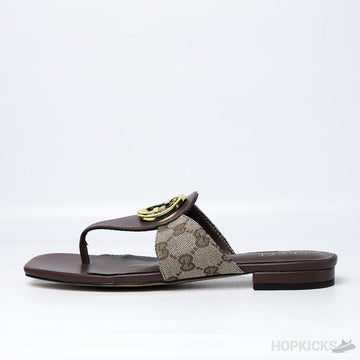 Gucci Blondie Thong Sandal Brown (Premium Plus Batch)