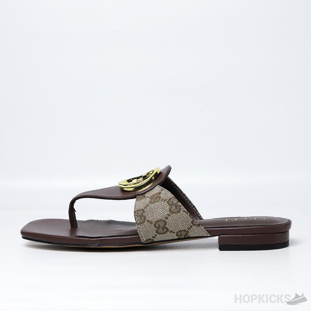 Gucci Blondie Thong Sandal Brown (Premium Plus Batch)