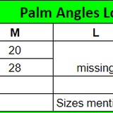 Palm Angles Logo Sweatshirt - Photo 6