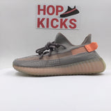 Yeezy Boost 350 Trueform [Real Boost] - Photo 1