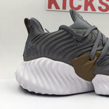 Alpha BOUNCE Instinct Grey - Photo 5