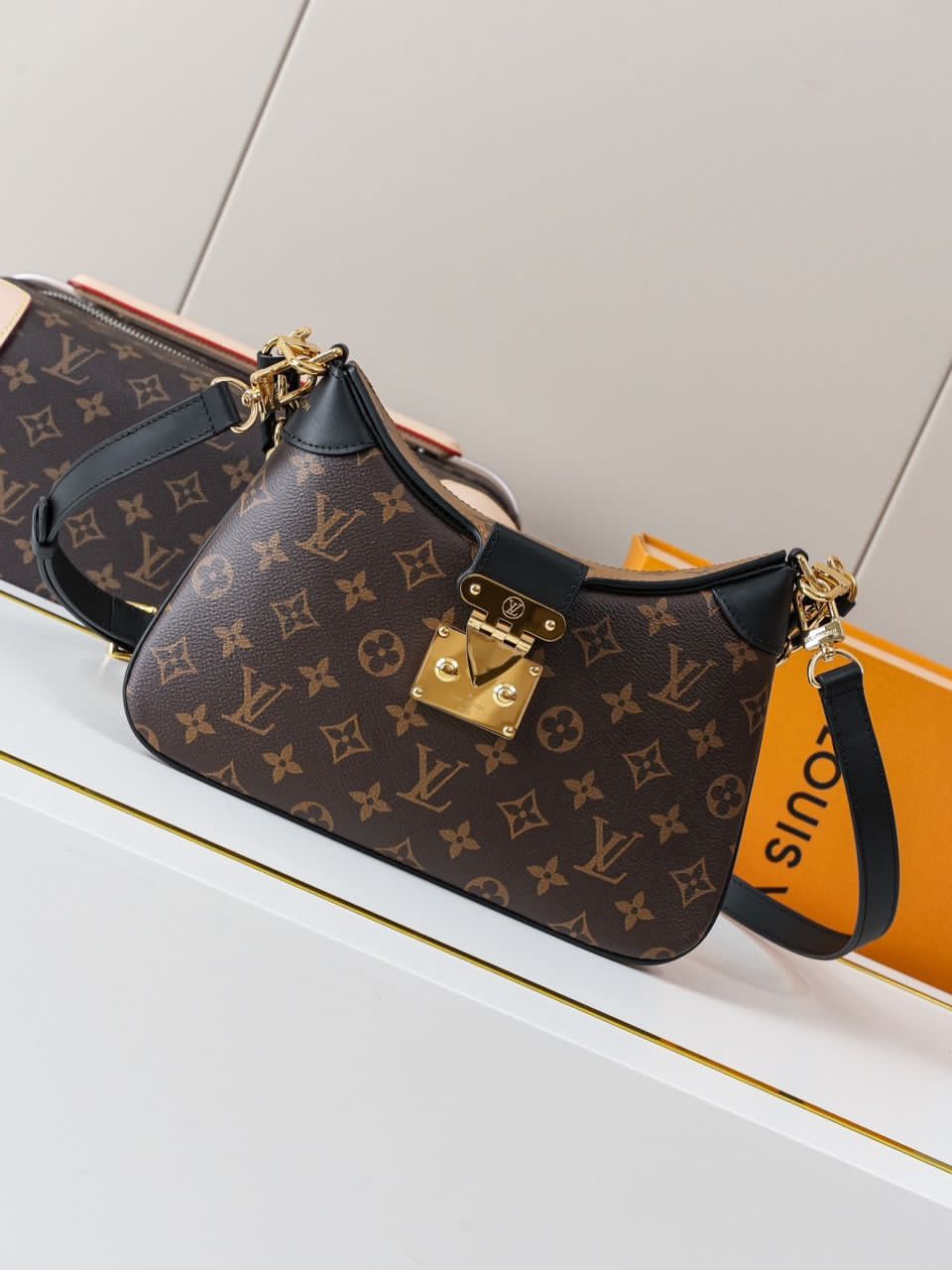 LV Twinny Other Monogram Canvas - Handbags (top tier 1:1 pre order)